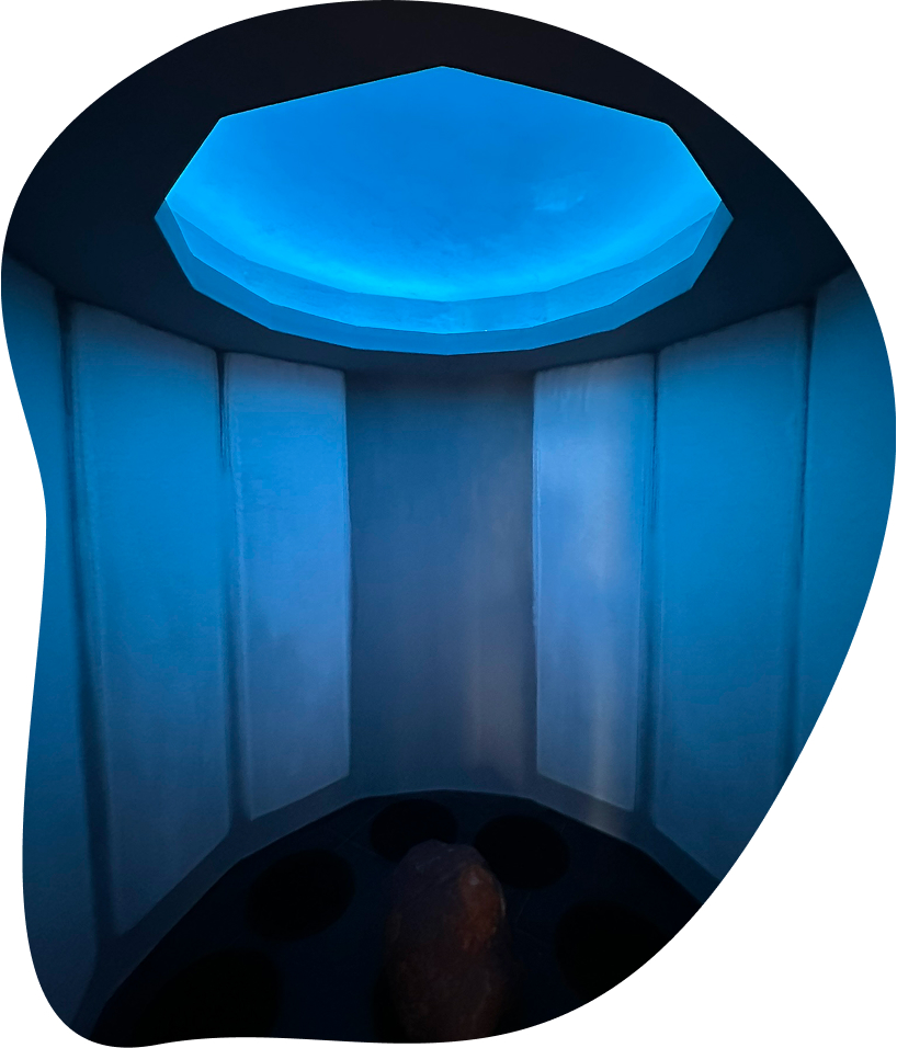 Ledová komora v prostoru Cellularium